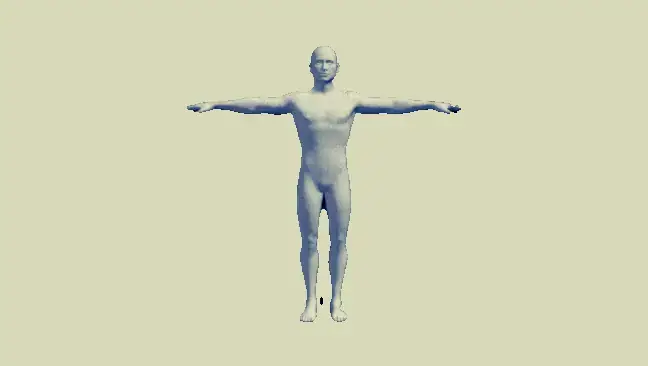 Modelo 3D de um corpo humano digitalizado, a rodar